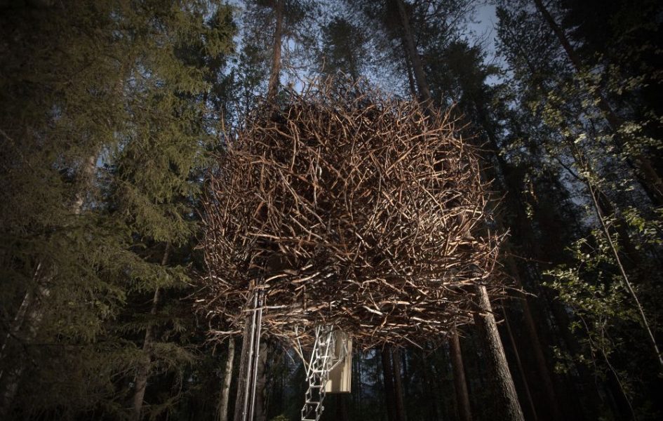 Bird's nest Tree Hotel, Sweeden