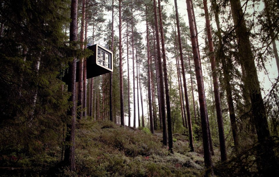 The Cabin, Tree Hotel, Sweeden