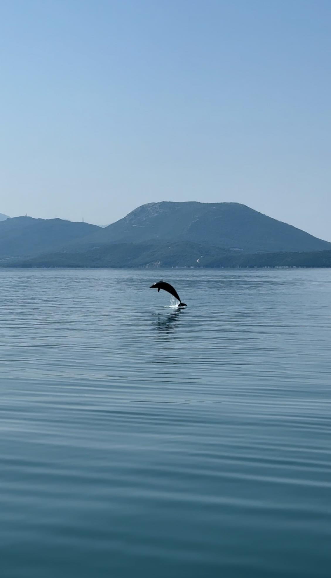 Preveza | The hidden gem of Epirus, Greece preveza dolphins